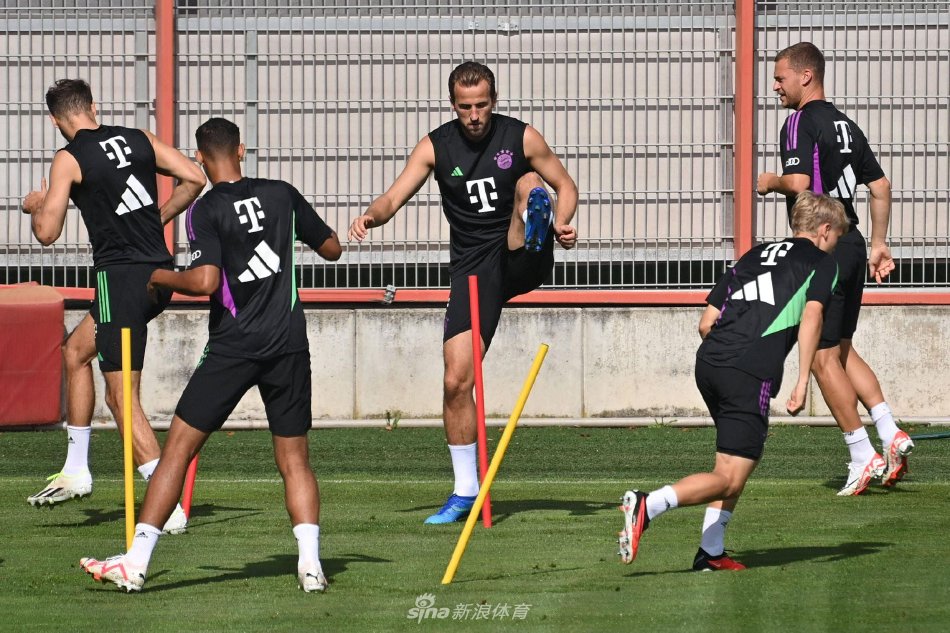 的稳定性和 的稳定性和